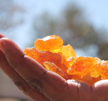 The birth of Desert Secrets: Sophia’s story