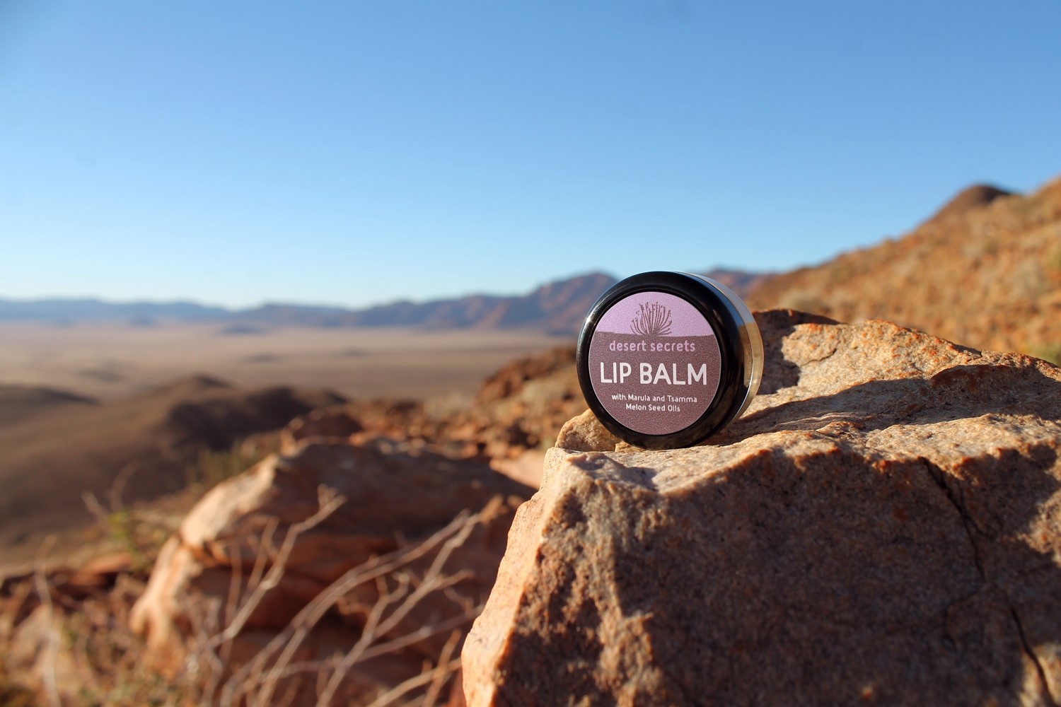 Alt_Text_for_the_slideshow_img