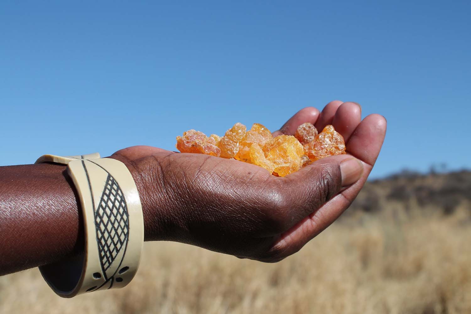 Alt_Text_for_the_slideshow_img