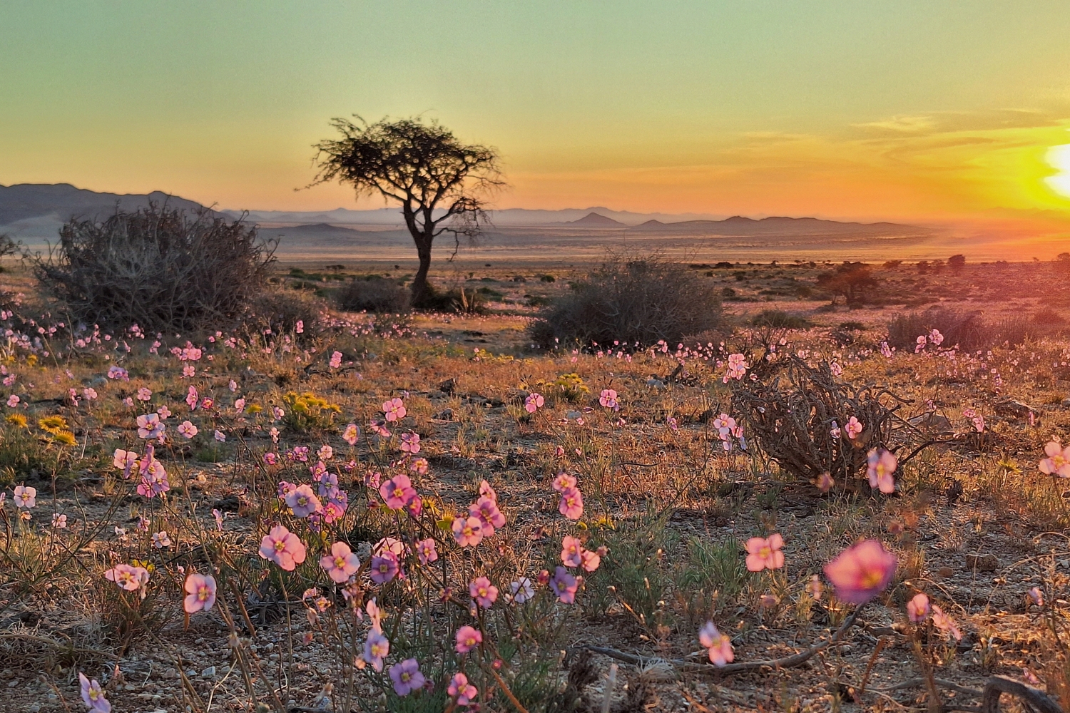 Alt_Text_for_the_slideshow_img